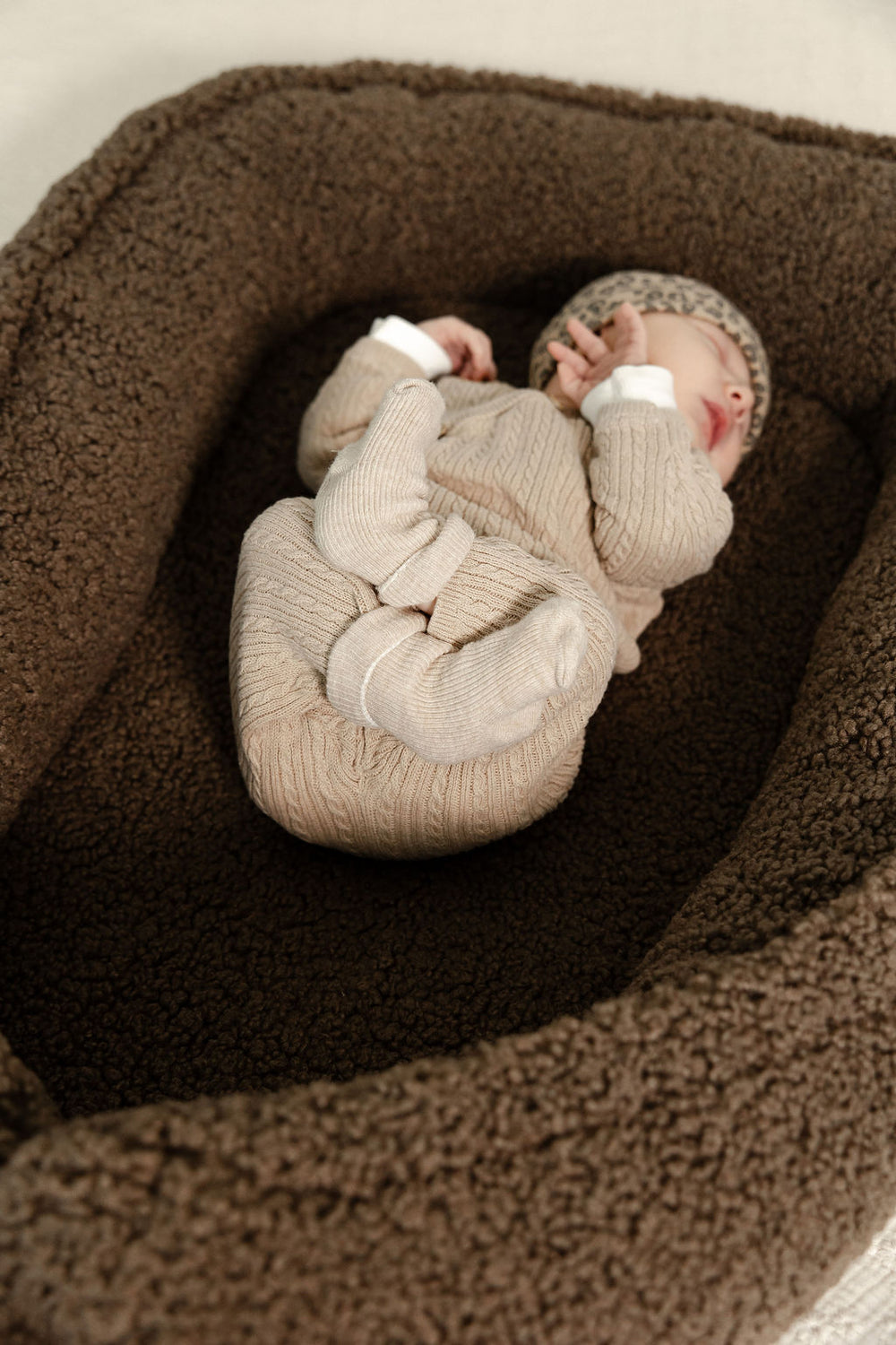 Babynestjes