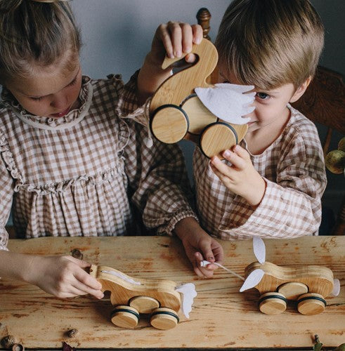 Kinderfeets bamboe trekfiguur Zwaan