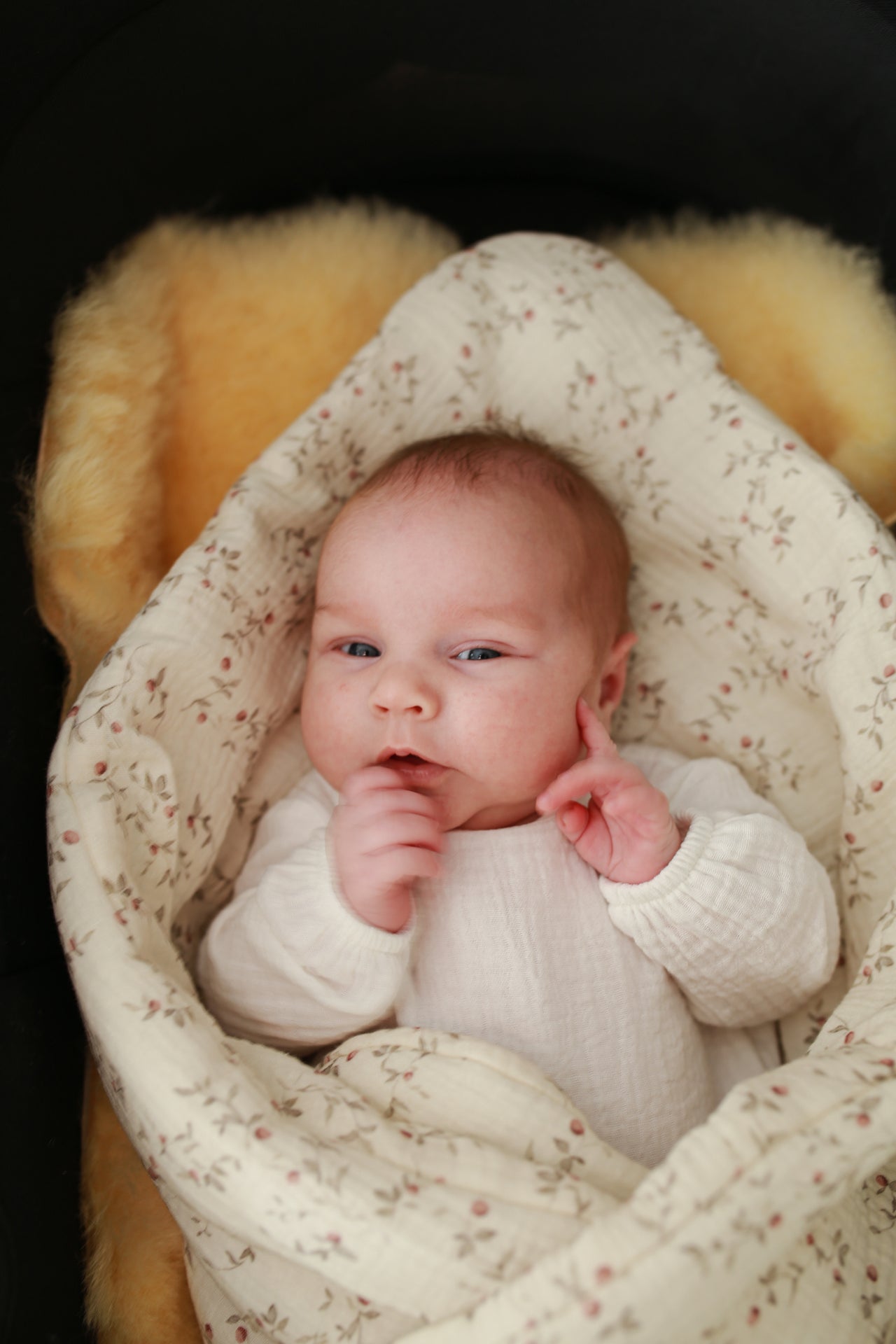 Babyly | Omslagdoek - Twiggy Dream