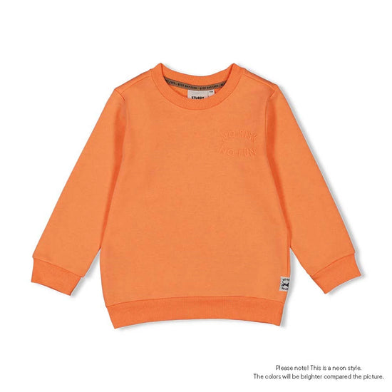 Sturdy Sweater Checkmate - Oranje - Benni & Ninni