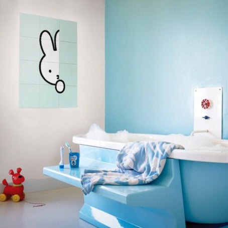 Nijntje Verstoppertje - Benni & Ninni