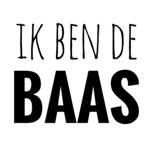 Strijkapplicatie Ik Ben De Baas - Benni & Ninni